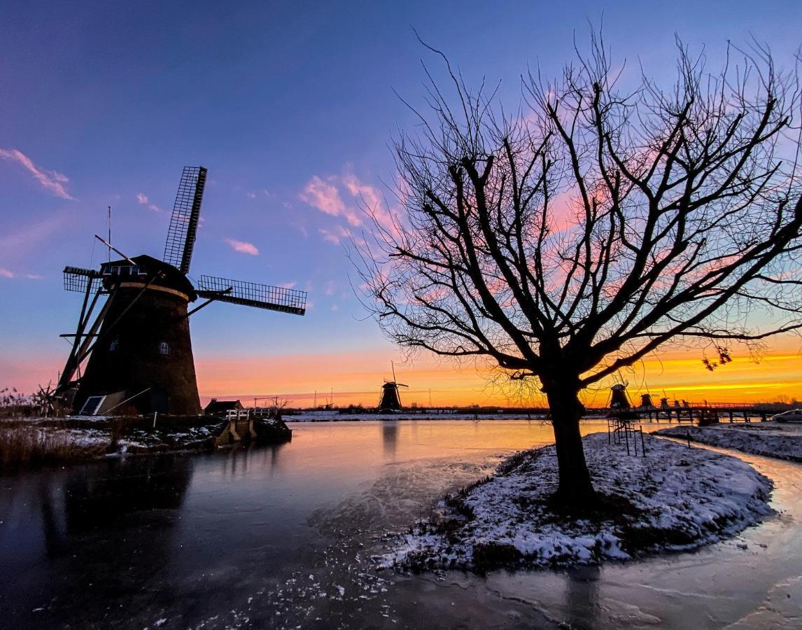 Guesthouse Rotterdam, Tinyhouse Nearby Kralingen 외부 사진